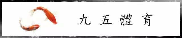 足球河北球员排名历史前50_河北足球名人_河北足球历史球员排名前十