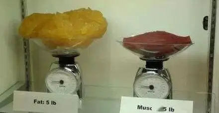 健身很年轻明星_健身明星年轻图片_健身明星年轻照片大全