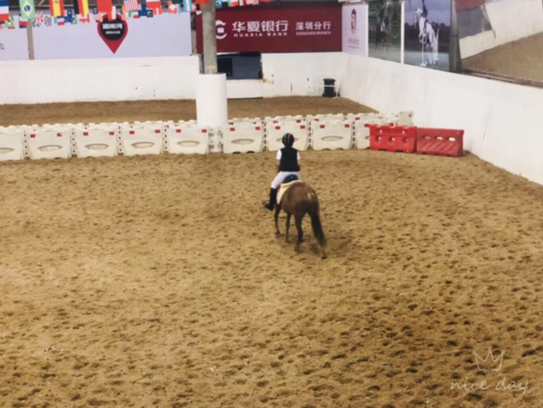 篮球奥运会冠军排名_篮球奥运会历届冠军一览表_篮球奥运冠军一览表图片