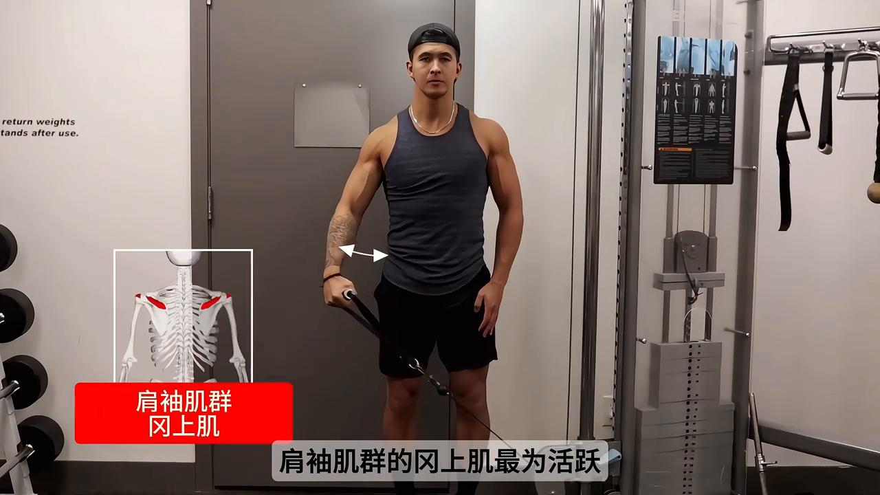 健身三角肌_三角肌健身图片_三角肌健身动作