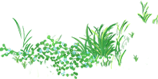 山西阳泉篮球冠军是谁呀_阳泉篮球队_阳泉篮球谁打的好